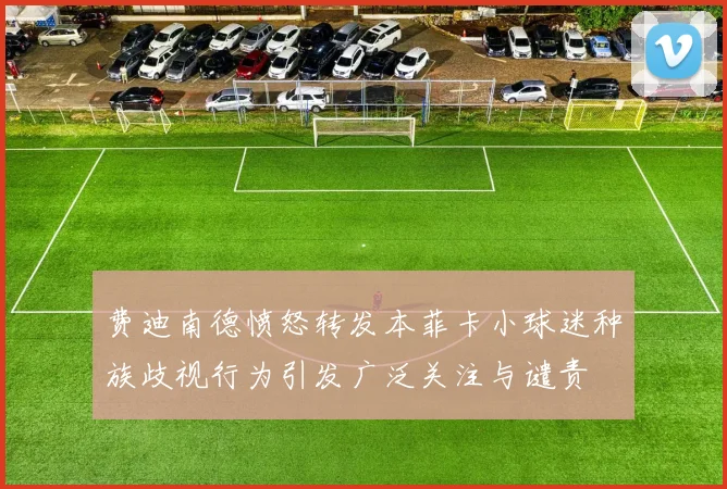 费迪南德愤怒转发本菲卡小球迷种族歧视行为引发广泛关注与谴责