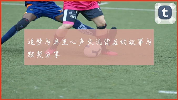 追梦与库里心声交流背后的故事与默契分享