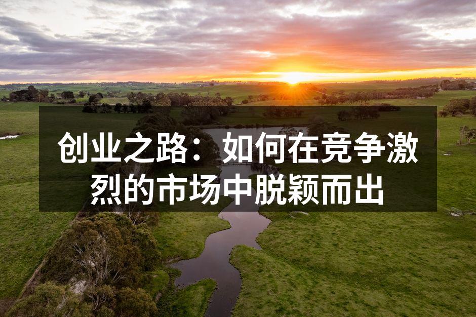 创业之路：如何在竞争激烈的市场中脱颖而出