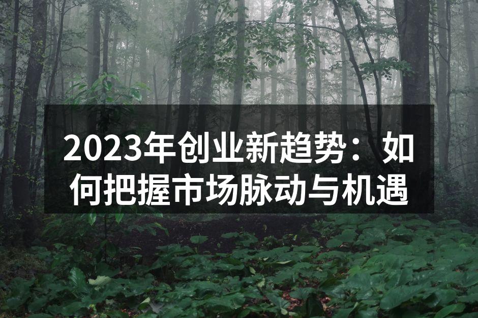 2023年创业新趋势：如何把握市场脉动与机遇